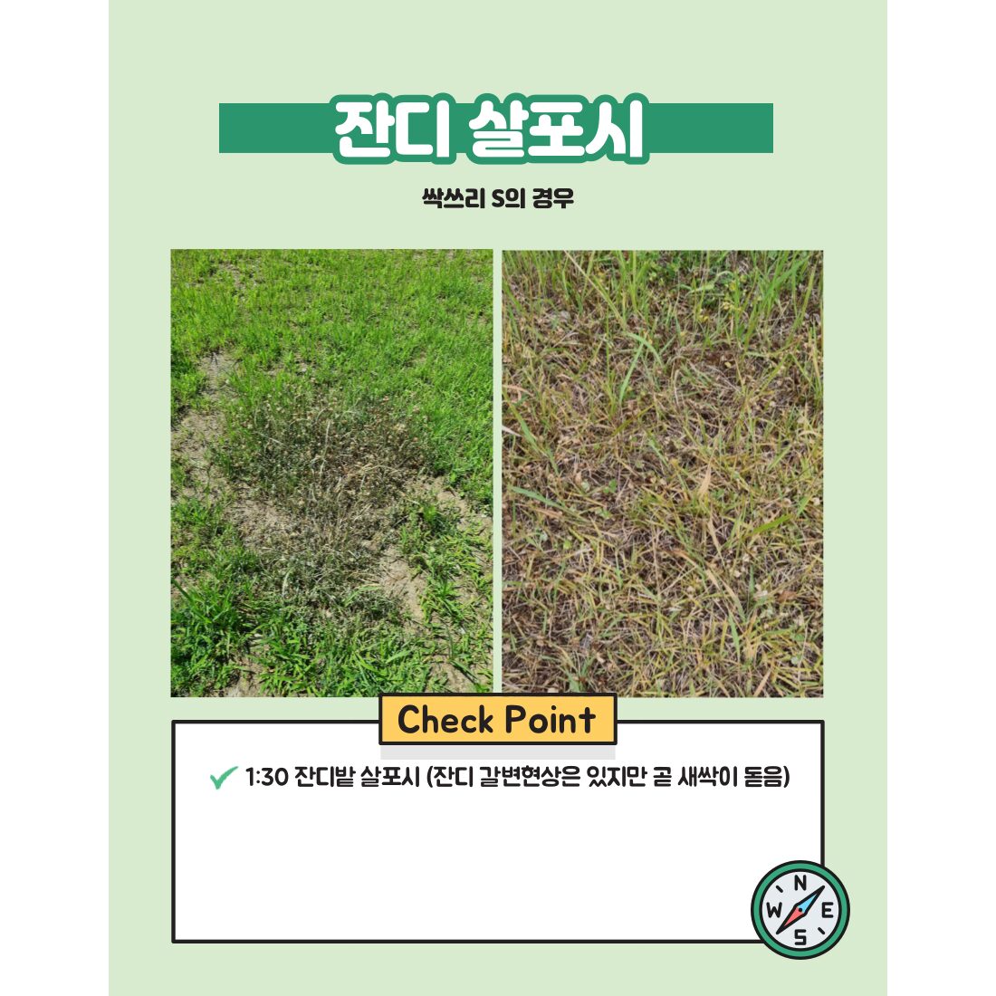 그래코리아 제초 농약 아니며 잡초 제거제 잔디관리 싹쓰리S 유해조류 동물 기피제, 1개 상세 이미지 1