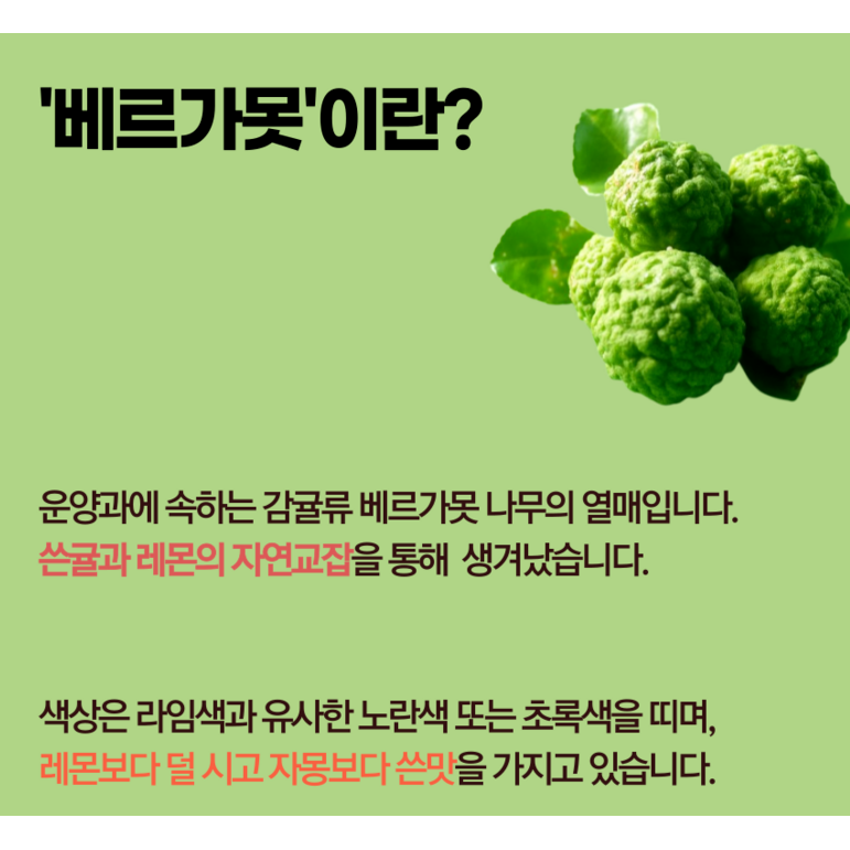 식약청 인증 Haccp 프리미엄 베르가못 락토페린 모로오렌지 모로실 정 600mg, 1개, 60정할인 상세 이미지 2