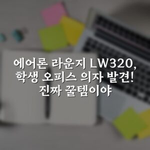 에어론 라운지 LW320, 학생 오피스 의자 발견! 진짜 꿀템이야✨
